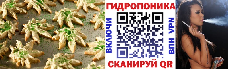 Canna-Cookies конопля  купить наркотик  Бабаево 