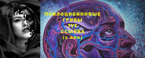 эйфоретик Алзамай