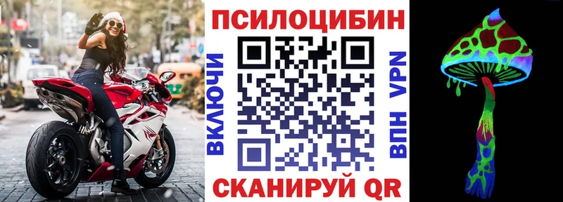 Псилоцибиновые грибы прущие грибы  Бабаево 