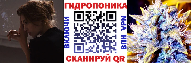 Бошки марихуана SATIVA & INDICA  Бабаево 